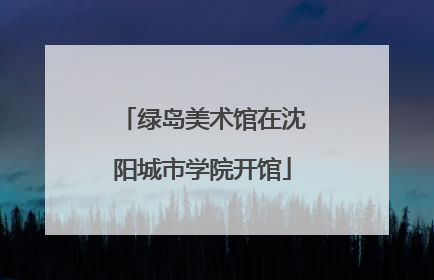 绿岛美术馆在沈阳城市学院开馆